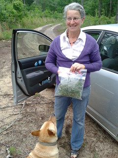 Gretchen with rosemary for Valdosta Farm Days and Yellow Dog