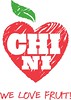 AD CHINI logo