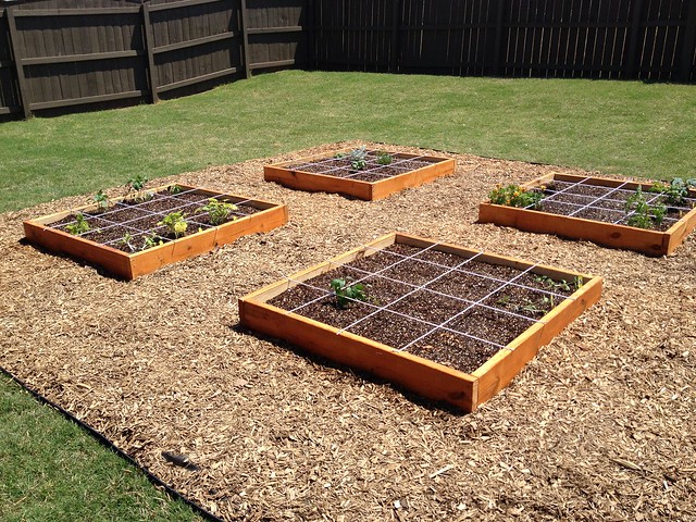 Finished Square Foot Garden!