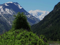 Suisse, Val Bernina et Diavolezza