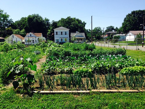 Community gardens like this one in Louisville, KY, bring neighbors together to produce fresh fruits and vegetables in areas that usually have no access to fresh produce. NRCS photo.