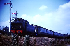 Dart Valley Railway/South Devon Railway