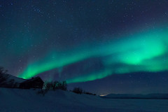 Northern lights / Aurora borealis