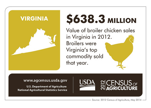 Virginia State Infographic