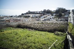 Portola SF: University Mound Nursery
