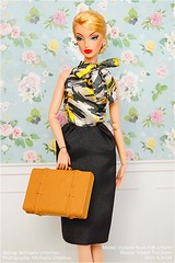 Discover the World of Pencilskirt
