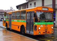 ATINOM Magenta (MI) buses