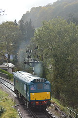 South Devon Railway (SDR)