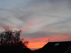 Ashford sunsets