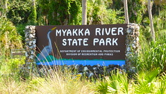 Myakka River SP, FL