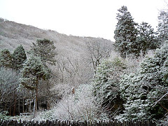 Snow in 2015.
