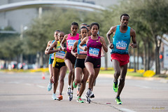 2015 Chevron Houston Marathon