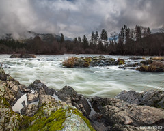 The Rogue River