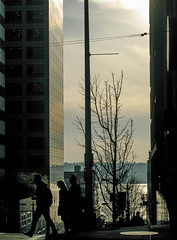 Seattle: Downtown 2013-