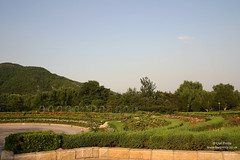 Botanical Gardens, Beijing.