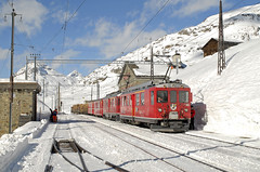 Swiss Feb 2008 day 3