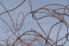 Wire Abstract