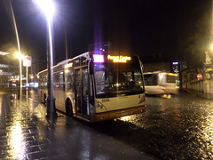 STIB-Bus-54