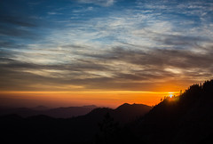 Sunset in Sequoia
