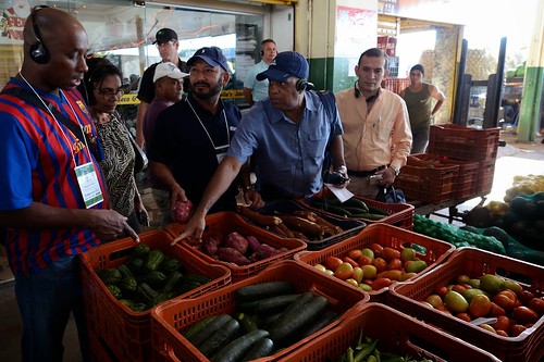 The MIOA members also toured the local wholesale market, Centrais de Abastecimento do Distrito Federal S.A (CEASA-DF), in Brasilia, Brazil. Dr. Luis Palmer, Chief of the International Reports Section of AMS Fruit and Vegetable Programs Market News (second from right with blue shirt) tours the market with MIOA members. Photo Courtesy of Francisco Stuckert, CONAB.