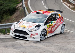 Ford Fiesta R5 -  Chassis 009 -  (active)