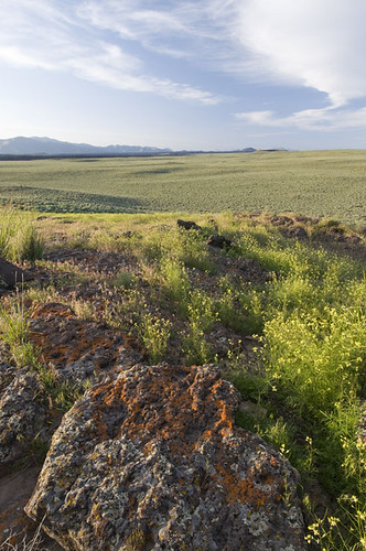 This area, known as the Pioneers-Craters landscape, has been identified as a conservation priority in Idaho by numerous studies, planning efforts and conservation organizations. Photo by Bill Mullins, Wood River Land Trust.