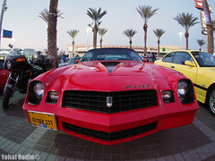 5.12.2014 - Alfa Romeo, Corvette and Firebird Clubs