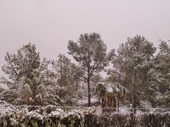 Nieve en Albinyana-Baix Penedès-Tarragona -