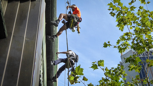 Abseiling Window Cleaners