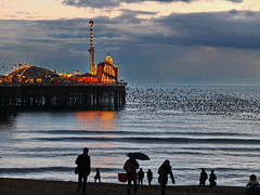Brighton Seafront and Murmurations