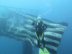 Diving/Underwater