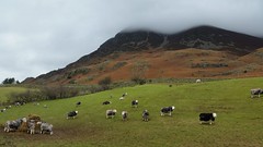 Lake District Jan 2015