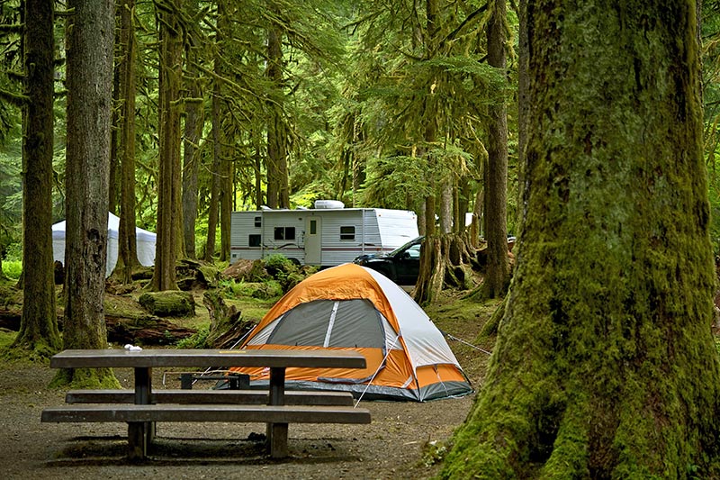 Provincial Park Campground on Vancouver Island, British Columbia, Canada.