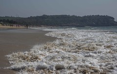 Candolim Beach India