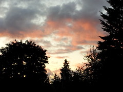 Portland Sky