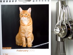 Kitchen calendar