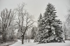 winter 2015