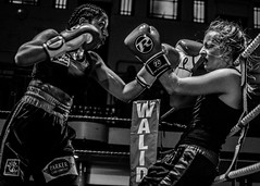Female boxers and fighters