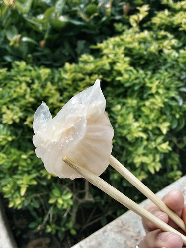 Ha Gao (shrimp crystal dumpling)