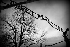 Auschwitz- Birkenau per non dimenticare