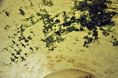 DSC_0729 [ps] - The Crypt of St Gorgonzola