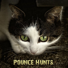 Pounce Hunts