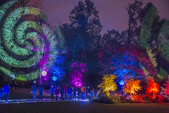 Garden Light Festival, Bear Creek Park