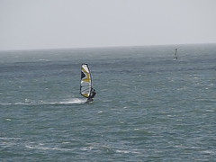 Windsurfers