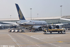 Collection: Singapore Airlines
