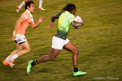 USA Rugby Sevens 2014