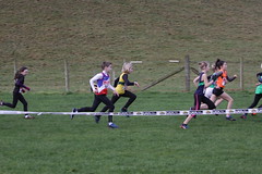 Penrith XC County Champs