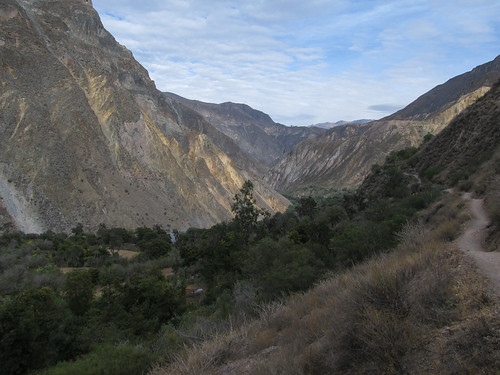 Trek du Cañon de Colca: et c'est parti pour un 2e jour de marche, dans le fond du canyon cette fois.