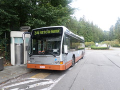 STIB-Bus-34