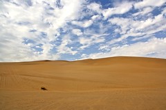 Desert and Dunes